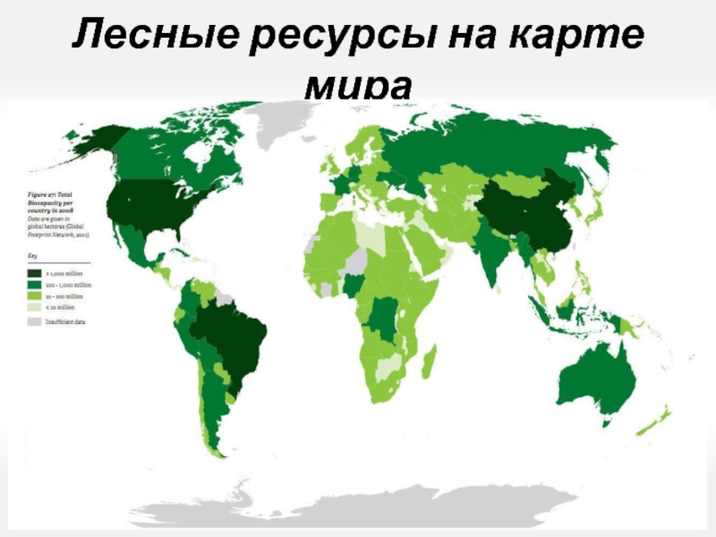 Лесные ресурсы сша карта