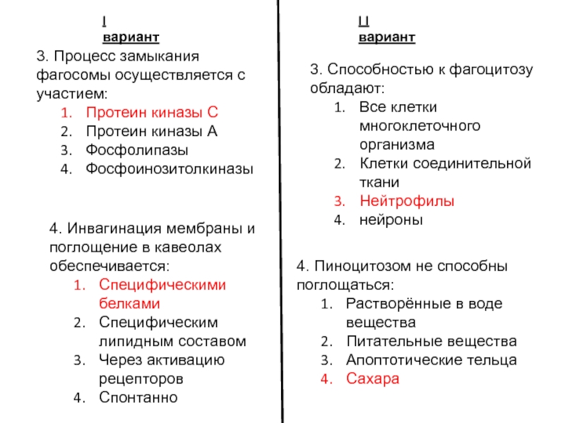 Тест по коже человека