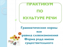 Практикум по культуре речи