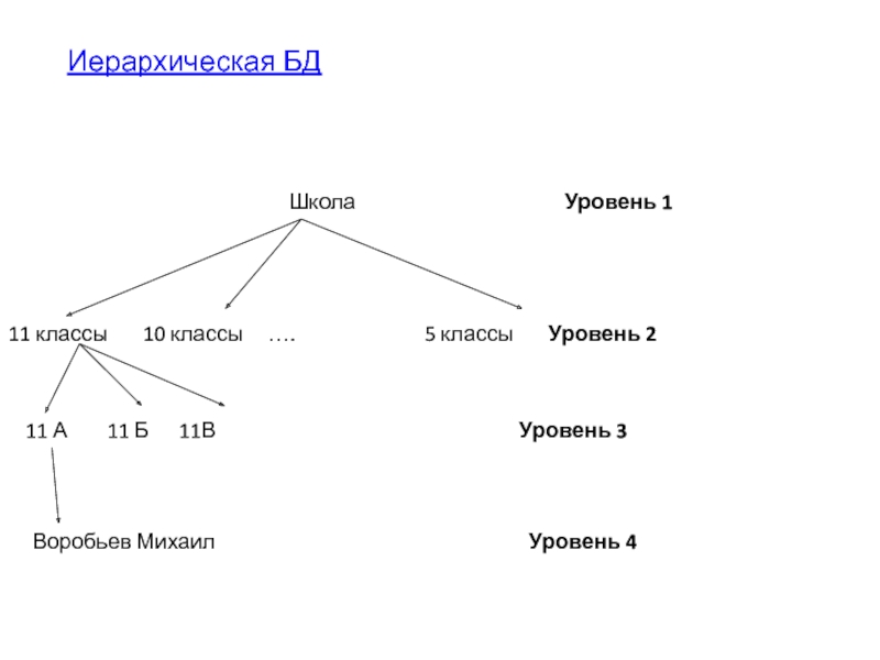 Примером иерархической базы данных является