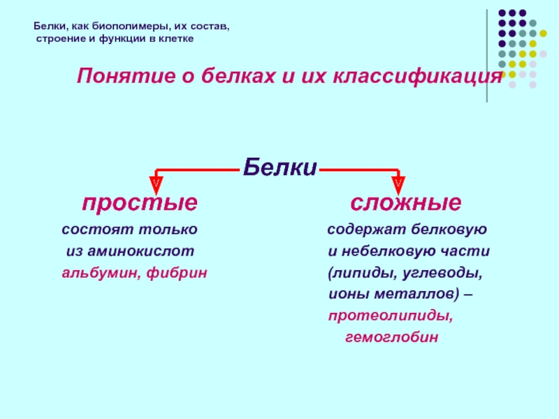 Белки как природные биополимеры проект