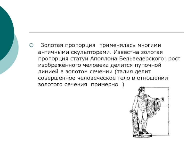 Математика золотая пропорция проект