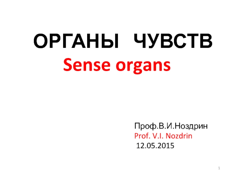 ОРГАНЫ ЧУВСТВ
Sense organs
Проф.В.И.Ноздрин
Prof. V.I. Nozdrin
12.0 5.201 5
1
