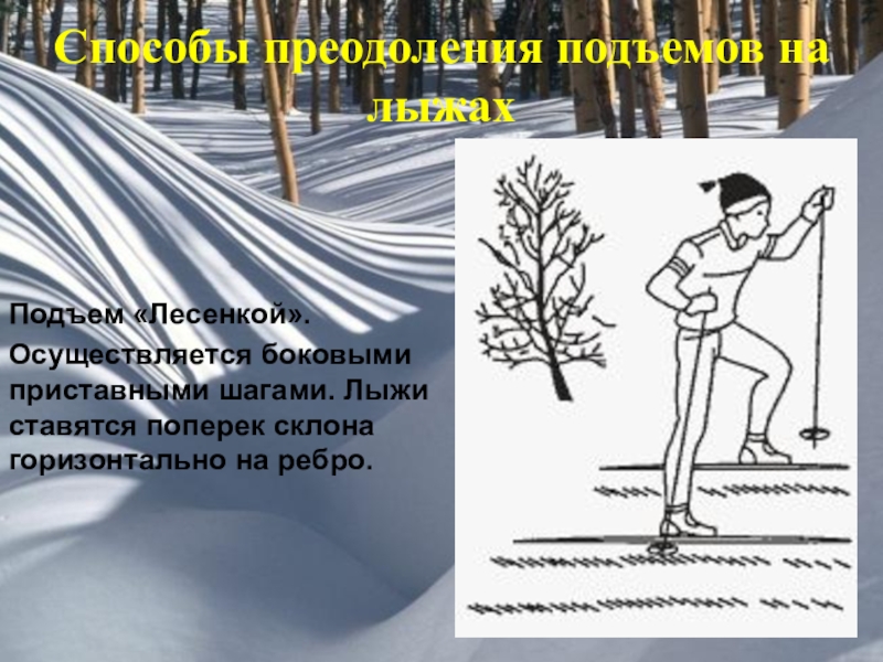 Название подъемов. Назовите способы преодоления подъёмов на лыжах. Приставной шаг на лыжах. Способ подъема на склон на лыжах лесенка. Подъем приставным шагом лыжи.