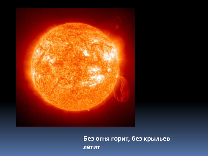 Солнце прямой эфир. Какой цвет притягивает солнце.