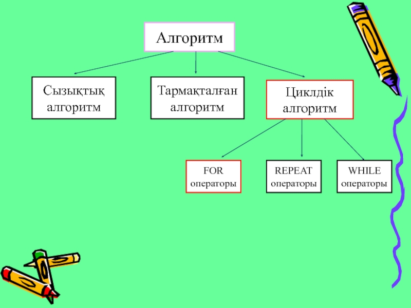 Тармақталған алгоритмдерді программалау презентация