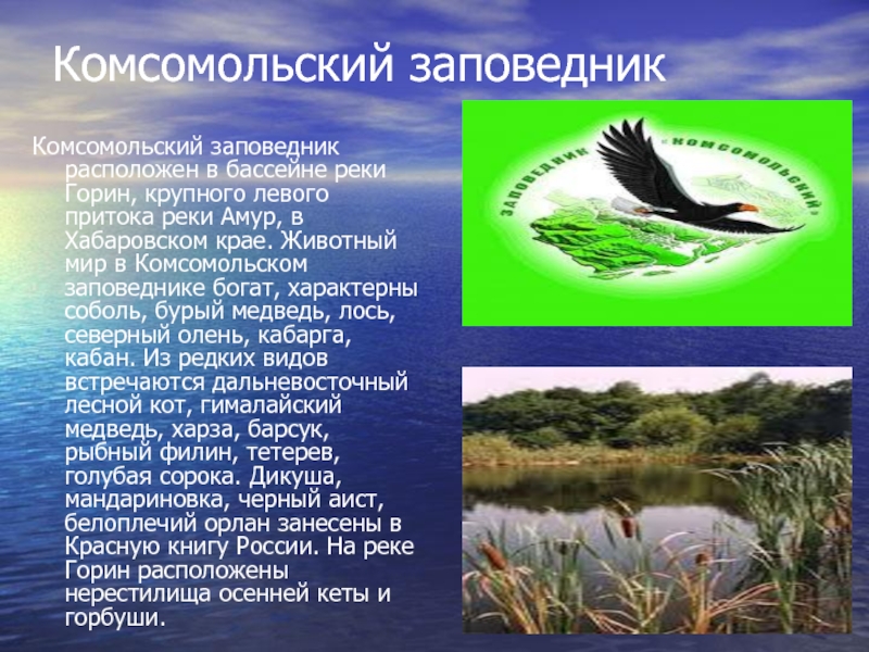 Комсомольский заповедник Комсомольский заповедник расположен в бассейне реки Горин, крупного левого притока реки Амур, в Хабаровском крае.