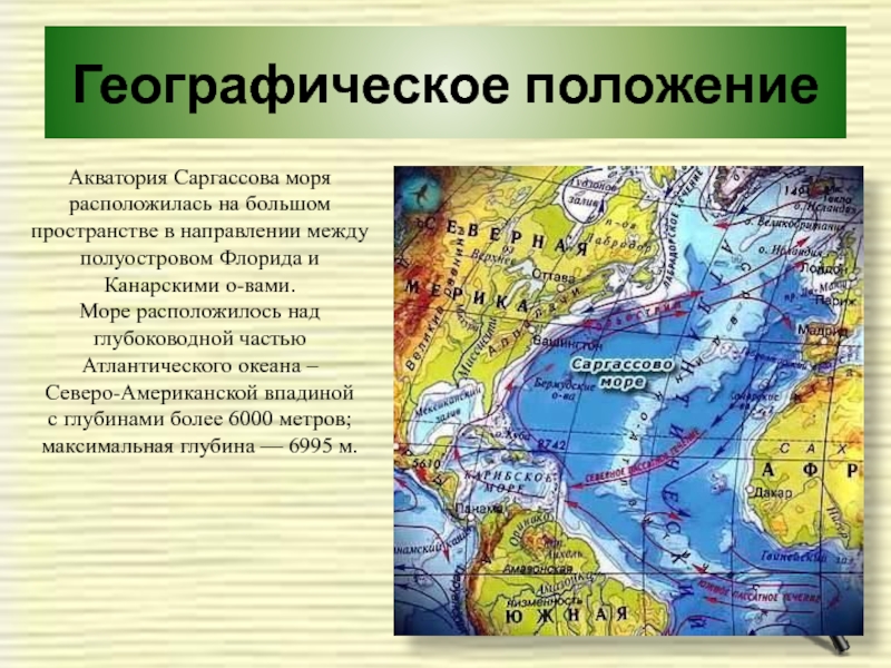 Саргассово море внутреннее или окраинное