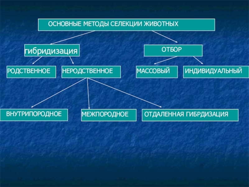 Упрощенная схема селекции микроорганизмов