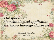 Omirzak Aigerim хт -11-5р