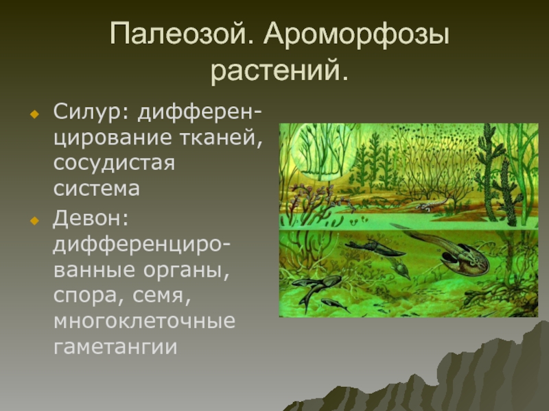 Ароморфоз способствовавший выходу животных на сушу. Ароморфозы растений силурийского периода. Силурийский период палеозойской эры. Девонский период палеозойской эры. Силурийский период палеозойской эры растения.