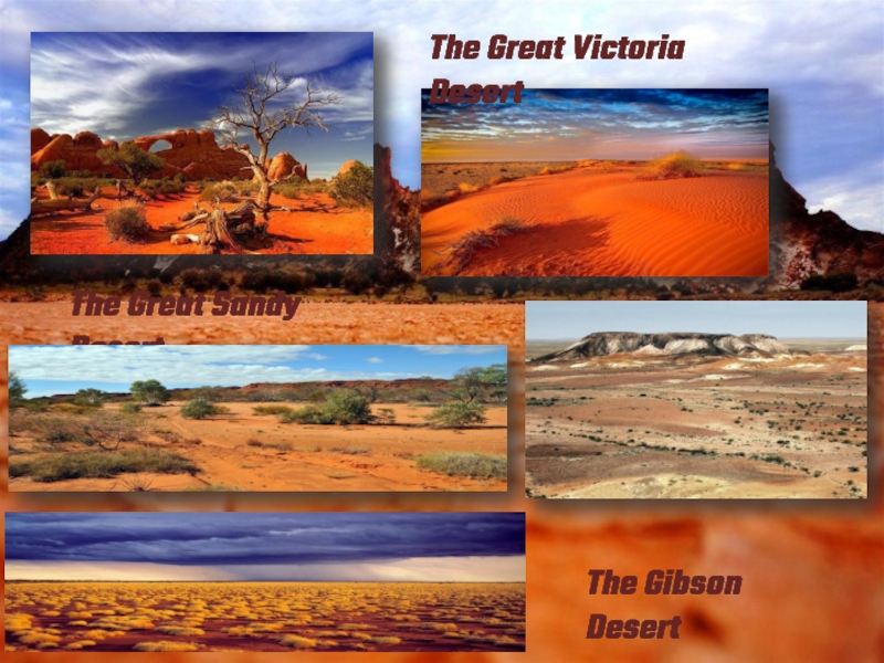 Пустыня Гибсона в Австралии. Пустыня Гибсона до после. Great Victoria Desert. Гибсон Дезерт Норд Западная Австралия.