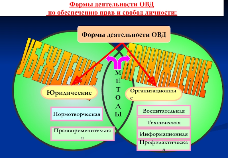 Форм деятельности органов внутренних дел