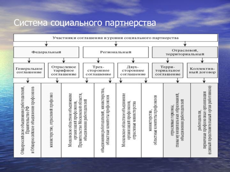 Укажите уровень системы социального партнерства