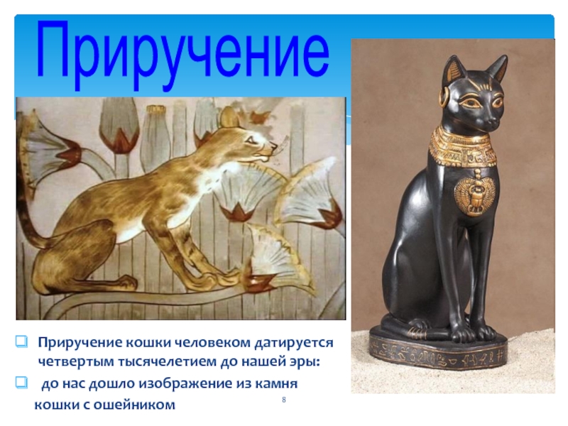 Приручение кошки человеком датируется четвертым тысячелетием до нашей эры: до нас дошло изображение из камня