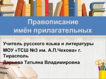 Тест к уроку русского языка «Правописание имён прилагательных»