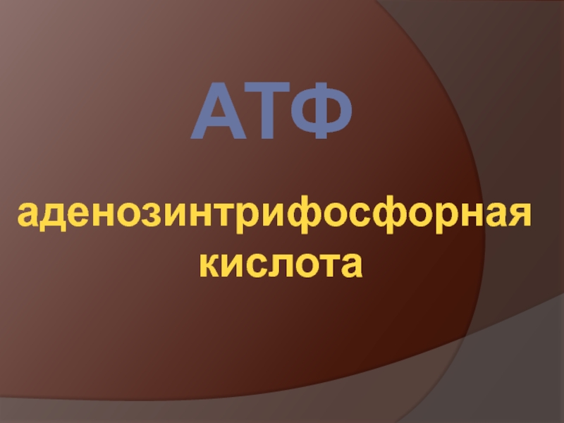 Презентация АТФ  аденозинтрифосфорная кислота