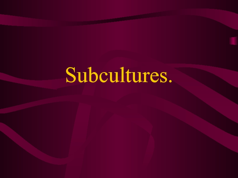 Презентация Subcultures
