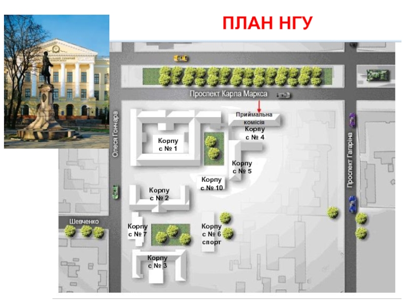 Нгту карта корпусов