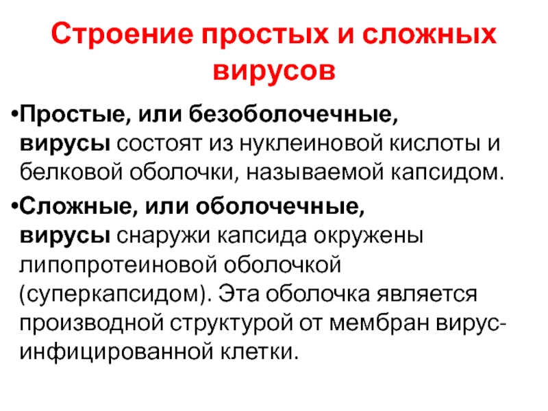 Простые вирусы. Простые и сложные вирусы отличия. Чем отличаются простые вирусы от сложных. Различие простых и сложных вирусов. Простые, или безоболочные, вирусы состоят из.