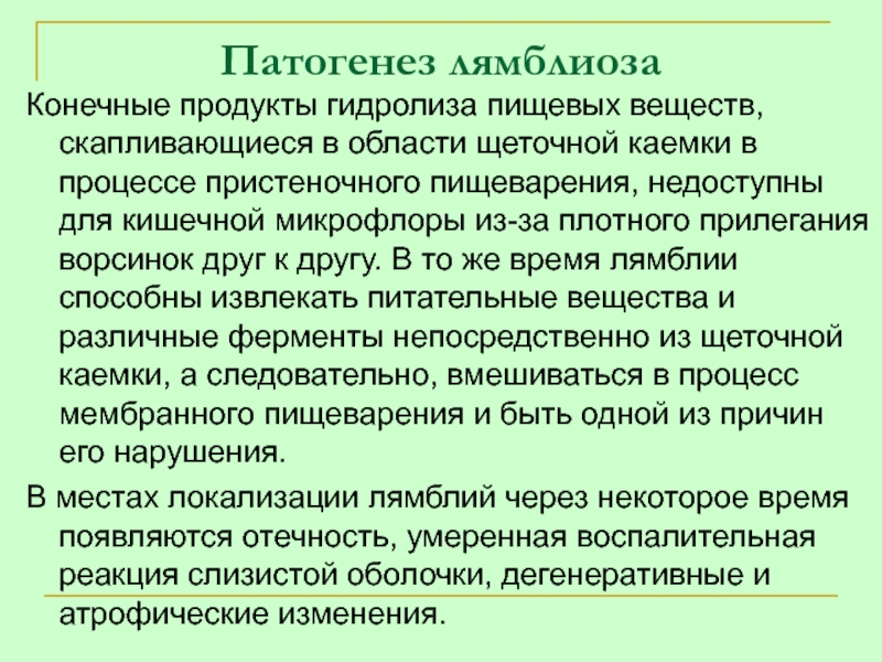 Протозоозы презентация. Патогенез лямблиоза. Меры профилактики лямблиоза. Профилактика протозоозов.