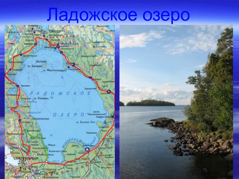 Расстояние ладожского озера. Ладожское озеро на карте. Ладожское озеро на карте России. Ладожское озеро и Онежское озеро на карте. Ладожское и Онежское озеро на карте.