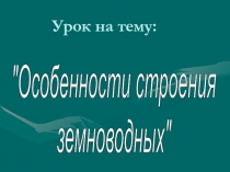 Особенности строения земноводных