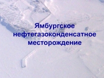 ямбурское месторождение