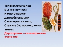 Тип Плоские черви