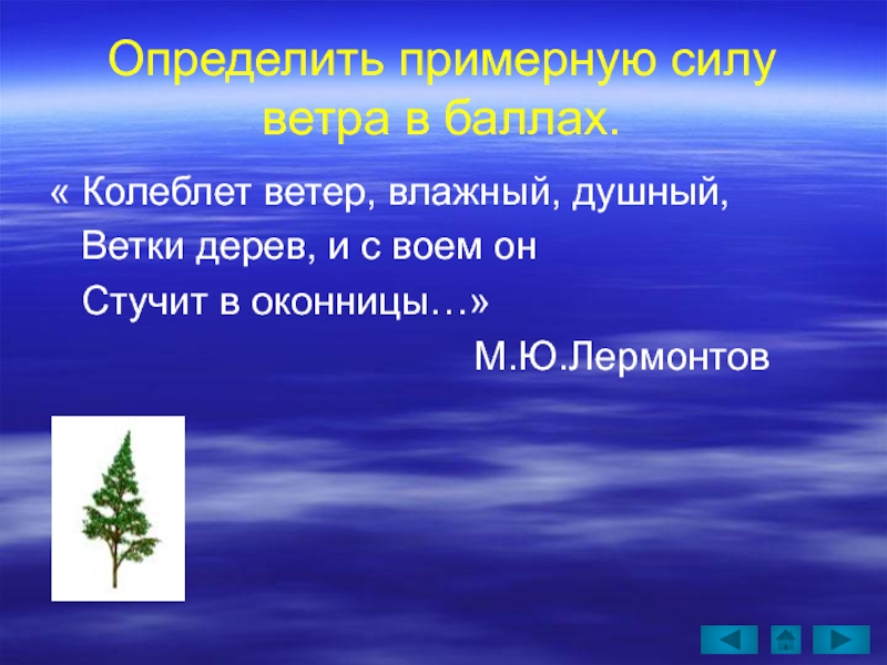 Ветер колеблющий листья. Ветер колеблет дерево. Деревья колеблющие ветром или колеблемые ветром. Колеблемый ветром правило.