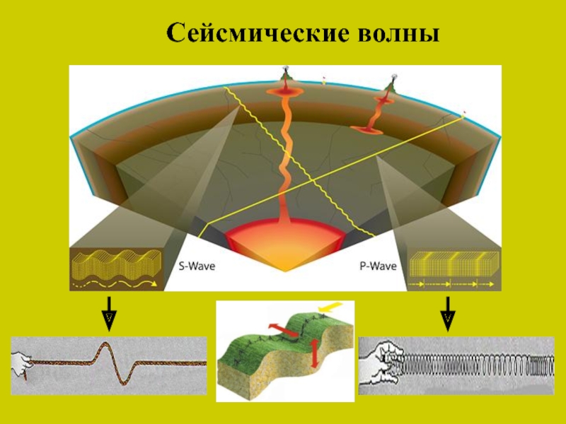 Сейсмические волны презентация