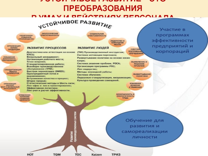 Эпоха смарт проблемы особенности перспективы развития проект