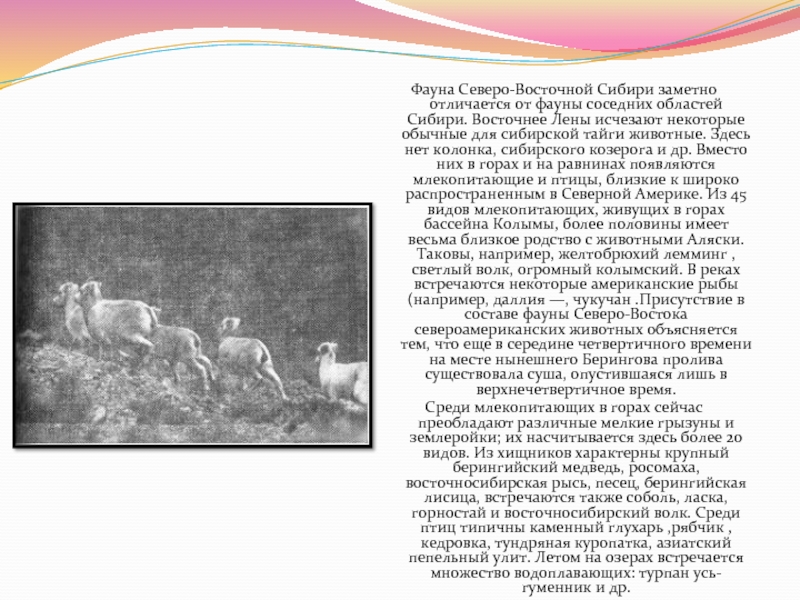 В форме рисунка коллажа стихотворения раскройте образ восточной и северо восточной сибири