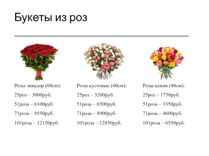 Сколько роз в россии. Размеры роз. Эквадорские розы размер. Кенийские и Эквадорские розы.