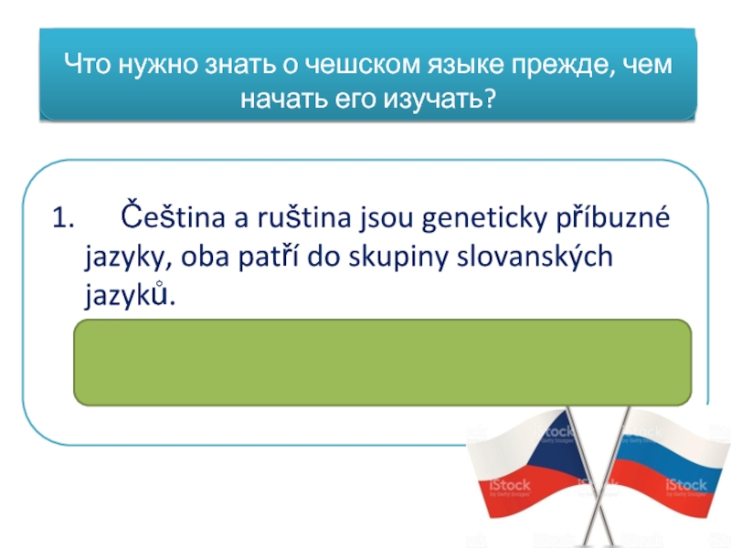 Доклад: Чешский язык