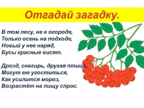 Изготовление веточки рябины на занятии по конструированию для группы адаптации к школе (тема 