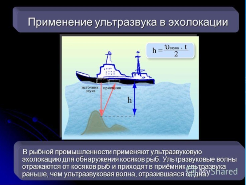 Эхолокация. Ультразвуковэхолокация. Источники ультразвука. Применение ультразвука. Применение ультразвука в технике.