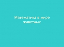 Математика в жизни животных