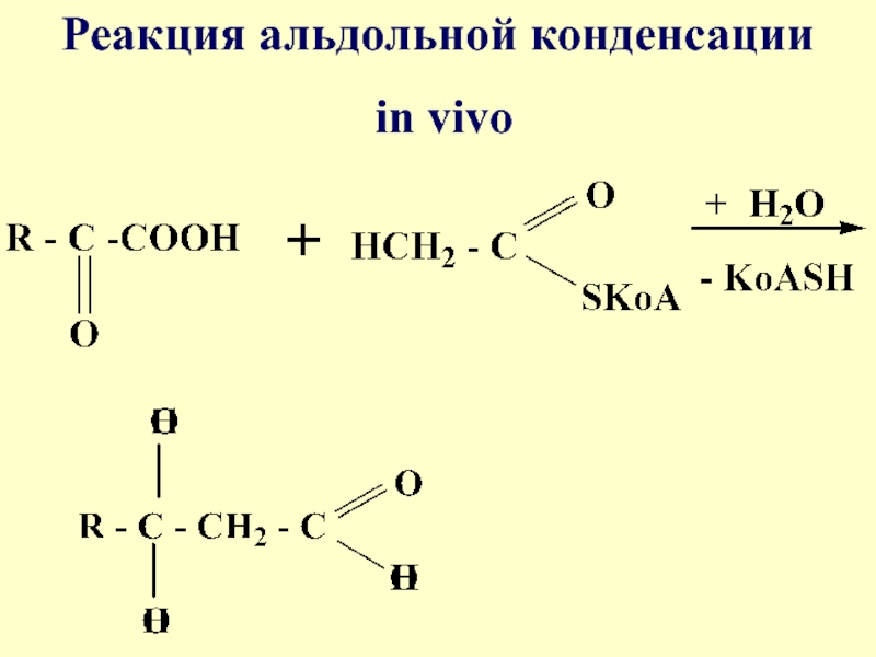 Альдольная конденсация бутаналя реакция. Пропаналь альдольная конденсация. Реакция Бородина альдольная конденсация. Альдольная конденсация механизм реакции.