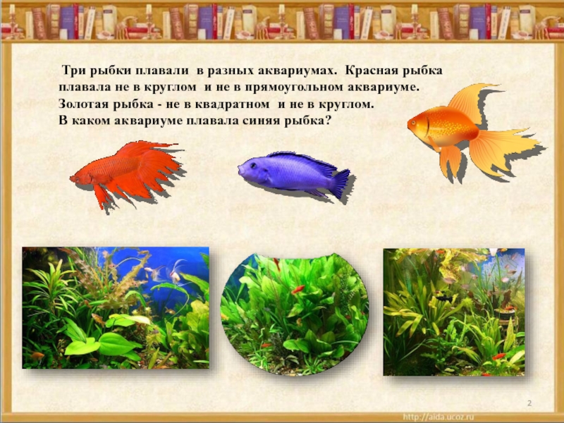 Аквариумные рыбки для дошкольников. Аквариумные рыбки презентация для детей. Презентация рыбы для дошкольников. Аквариумные рыбки задания.