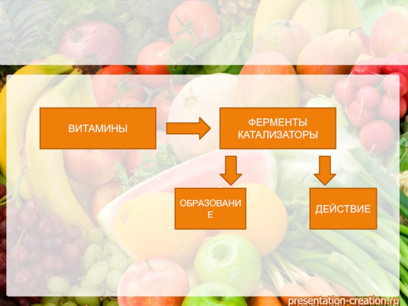 Презентация витамины и ферменты