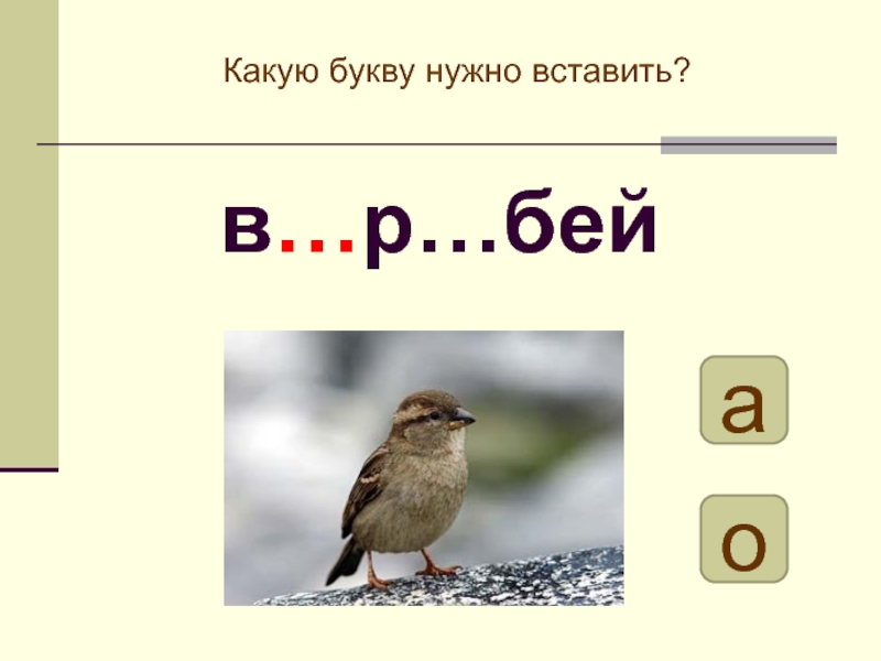 Следовать букве. Воробья смягчается какую букву. Воробей какие буквы надо запомнить. Воробей запомнить какую букву. Уж..не какую букву надо вставить.