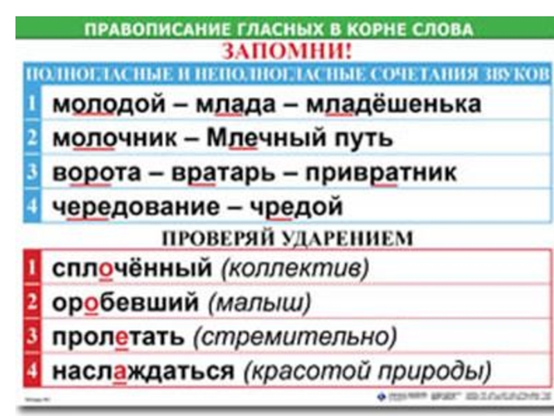 Полногласные. Чередование полногласных и неполногласных сочетаний. Слова с неполногласием. Неполногласные сочетания и полногласные сочетания. Слова с полногласными и неполногласными сочетаниями.