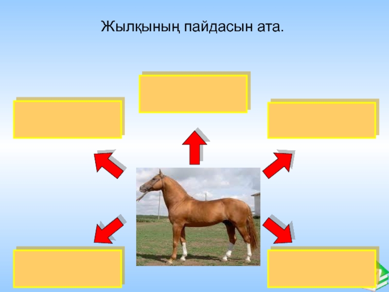 Тортай мінген ақ боз ат әңгімесі