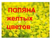 Дистанционный образовательный ресурс для обучения младших школьников 