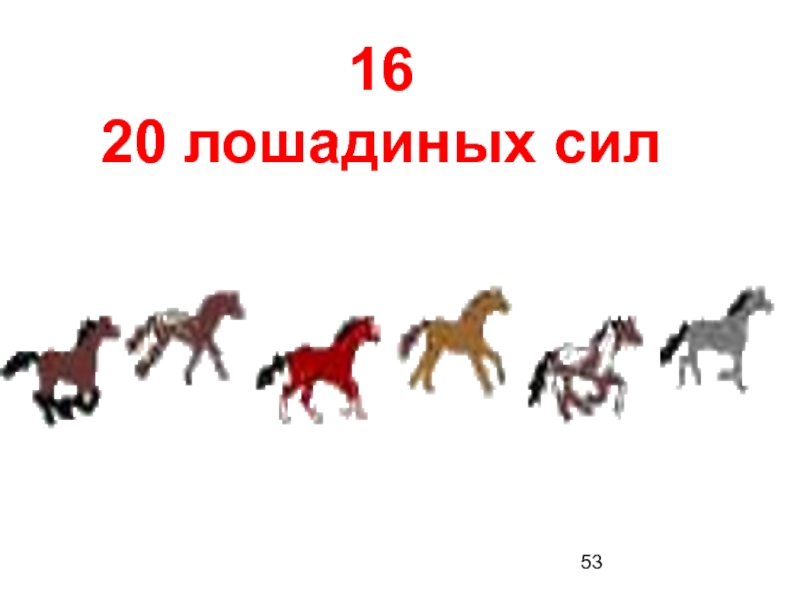 Сколько лошадей в 6