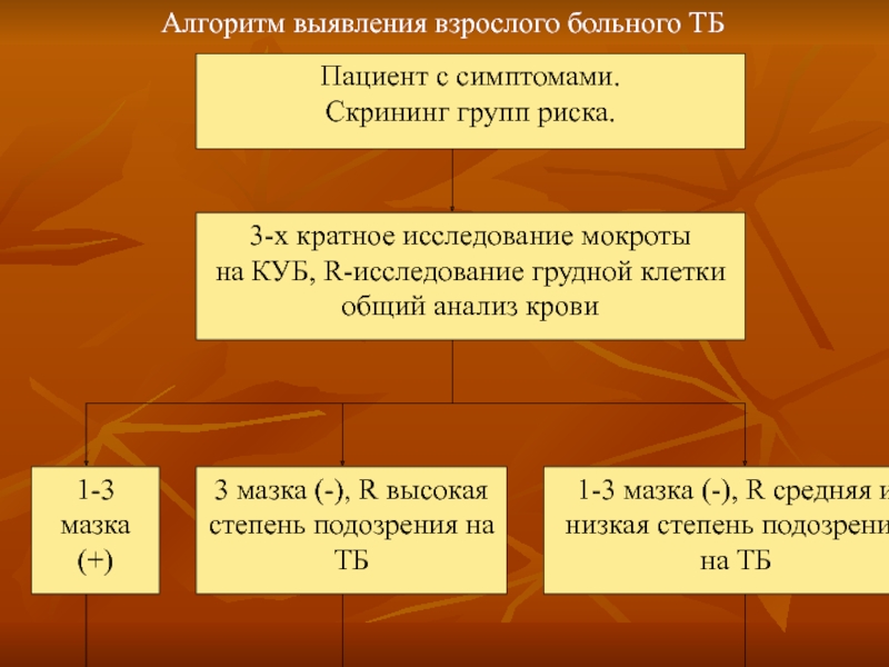 Алгоритм 32. Скрининг диагностика туберкулеза. Скрининг групп риска туберкулеза. Методы скрининга туберкулеза. Слайды алгоритм выявленных детей.