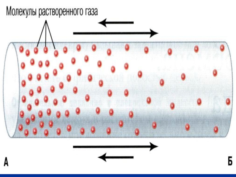 Диффузия в газах картинки