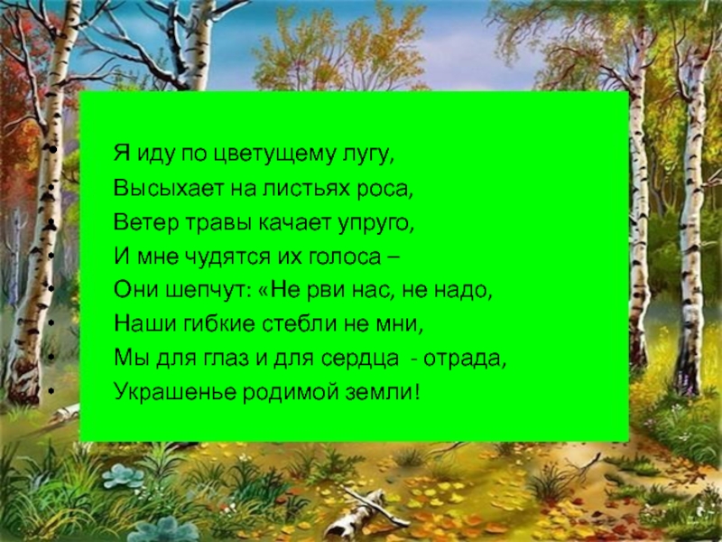 Шли по зеленому лугу. Стихотворение про росу. Я иду по зеленому лугу высыхает на листьях роса стих. Стих я иду по зеленому лугу. Стихи о росе на траве.