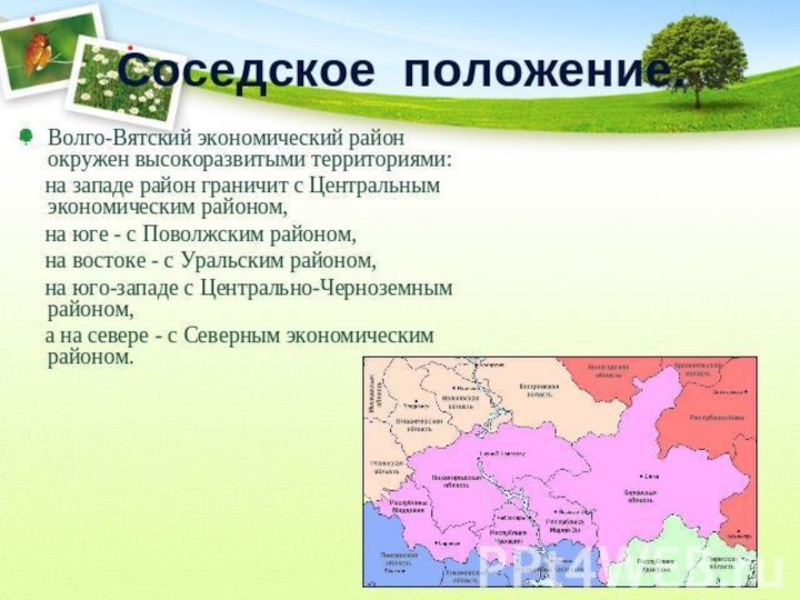 Соседское положение. Экономические центры Волго Вятского района. Волго-Вятский экономический район граничит с. Экономические районы граничащие с Волго Вятским районом. Экономический центр Волго Вятского экономического района.